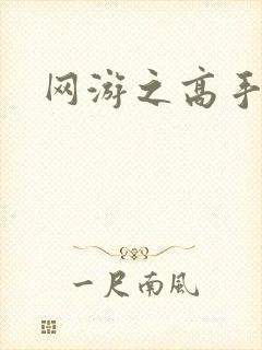 网游之高手寂寞