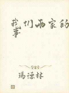 我们两家的荒唐事