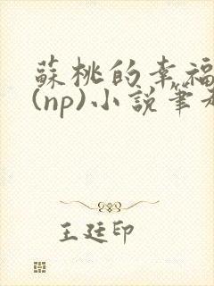 苏桃的幸福生活(np)小说笔趣阁沐沐