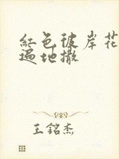 红色彼岸花花瓣遍地撒