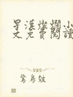 星汉灿烂小说全文免费阅读