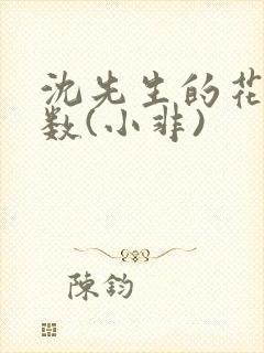 沈先生的花式调数(小非)