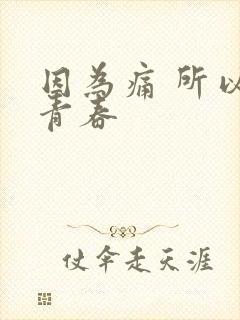 因为痛 所以叫青春