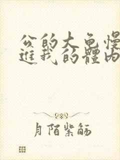 公的大龟慢慢挺进我的体内视频