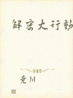解密大行动