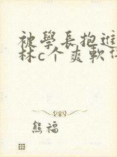 被学长抱进小树林c个爽软件