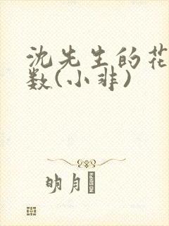 沈先生的花式调数(小非)