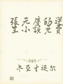 张元庆的逆袭人生小说免费阅读