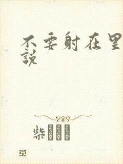 不要射在里面小说