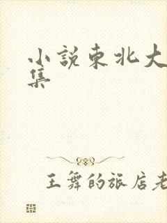 小说东北大炕全集