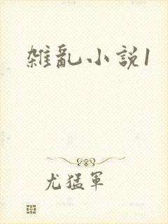 杂乱小说1