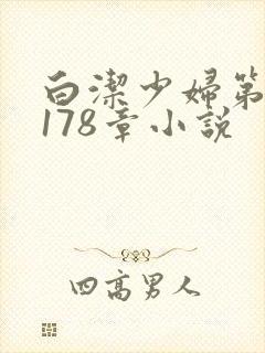 白洁少妇第1一178章小说