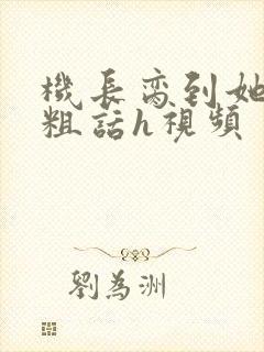 机长脔到她哭h粗话h视频