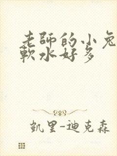 老师的小兔子好软水好多