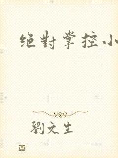 绝对掌控小说