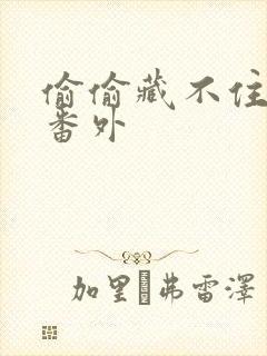 偷偷藏不住新婚番外