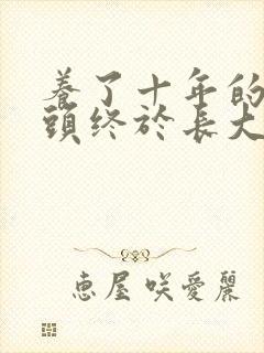 养了十年的小丫头终于长大了