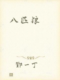 八匹狼