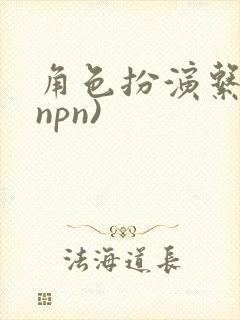 角色扮演系统(npn)