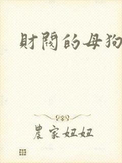 财阀的母狗们
