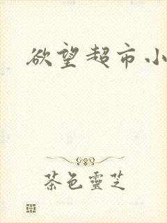 欲望超市小说