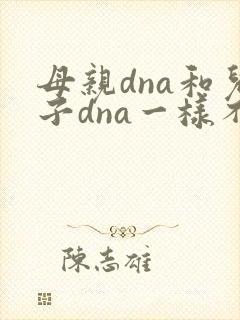 母亲dna和儿子dna一样不