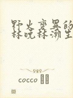 野火变异的父爱林晚林潮生