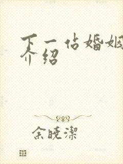 下一站婚姻剧情介绍