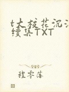 t大校花沉浮录续集TXT