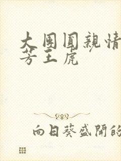 大团圆亲情会王芳王虎