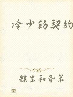 冷少的契约囚奴