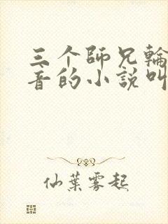 三个师兄轮流上音的小说叫什么