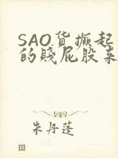 SAO货撅起你的贱屁股来