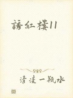 诱红楼11