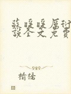 苏暖暖厉衍琛小说全文免费阅读