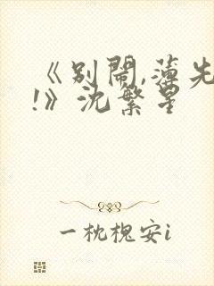 《别闹,薄先生!》沈繁星