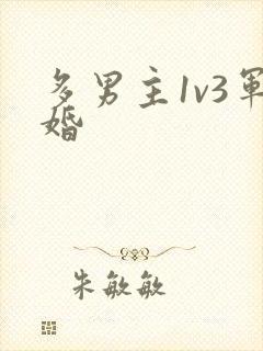 多男主1v3军婚