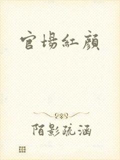 官场红颜