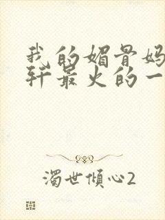 我的媚骨妈妈林轩最火的一句