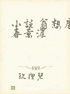 小说 翁想房中春意浓