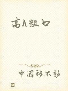 高h粗口