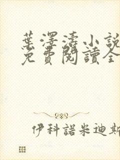 叶泽涛小说全文免费阅读全文