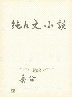 纯h文小说