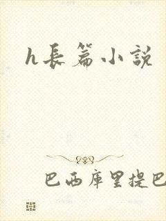 h长篇小说