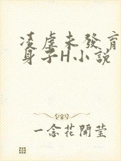 凌虐未发育的小身子H小说
