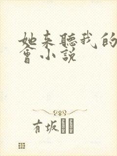 她来听我的演唱会小说