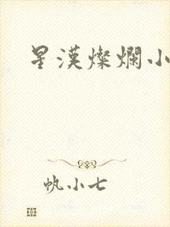 星汉灿烂小说