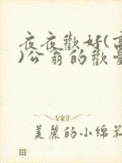 夜夜欢好(高h)公翁的欢爱