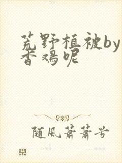 荒野植被by麦香鸡呢