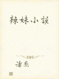 辣妹小说